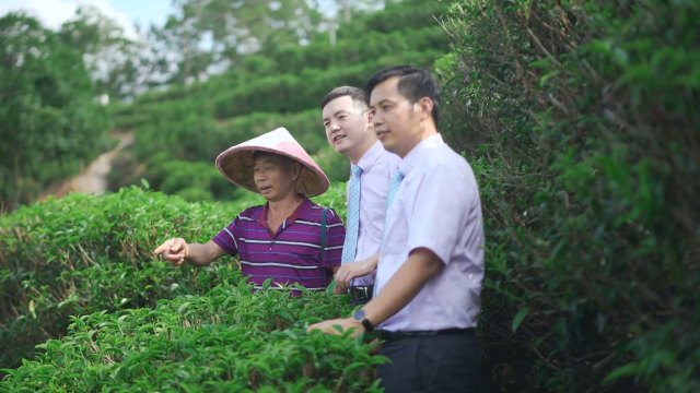 南方农村报 李嘉镓 制图