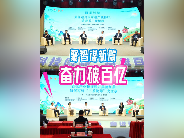 视频｜聚智谋新篇，奋力破百亿！