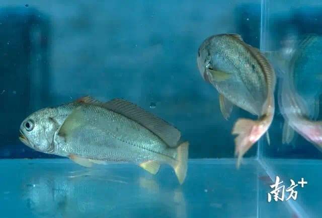 南方农村报 李嘉镓 制图