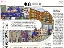 电白“农头工尾”这样锻造｜速览《南方日报·电白视窗》213期