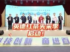 视频｜觅英州古韵、品头采珍茗！