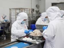 媒体调研团｜“预”见“味”来，东莞千亿级食品产业展现硬实力