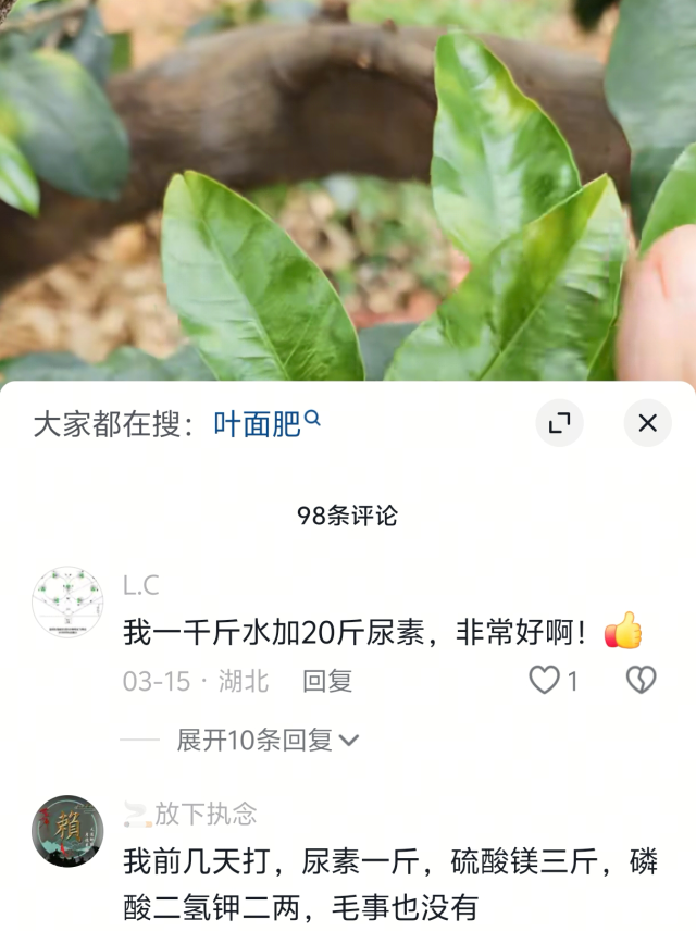 网友线上咨询。 网友线上咨询。