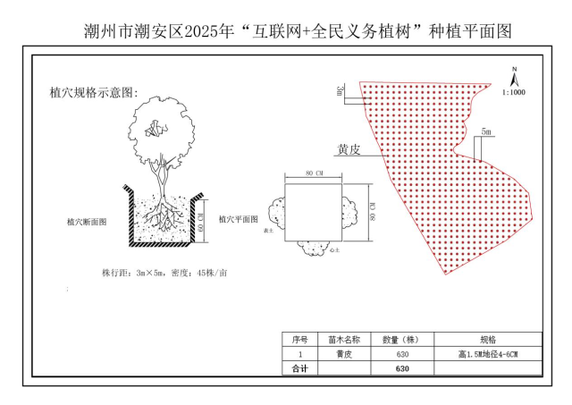 潮州市潮安区2025年“互联网+全民义务植树”种植平面图 
