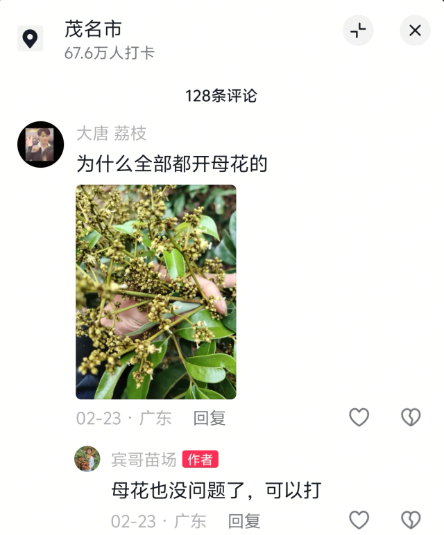 网友线上求助。 网友线上求助。