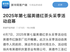 央、省、市媒体齐关注！第七届英德红茶头采季活动茶香传四方
