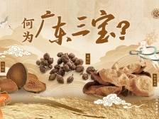 何为广东三宝？