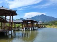 强化要素保障赋能“百千万工程”，让金融“活水”润泽河源城乡 | 南方访谈