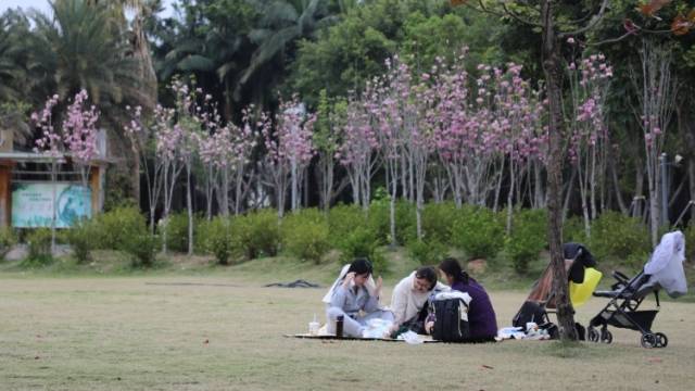 江汝晴《去露营》