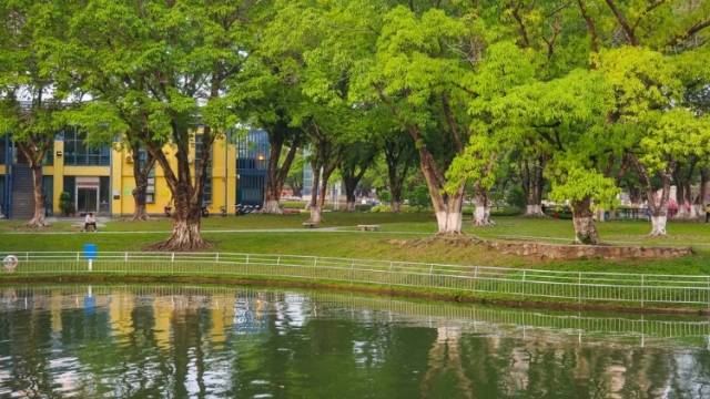 梦莹《亲子日记》