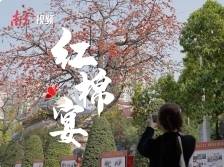 一口吃出“花”，粤菜还有这么多新吃法｜由来是广州