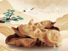 新会陈皮：塔尖上的正统陈皮 | 探秘广东三宝