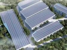 预计年产300万羽！“新韶九章”肉鸽“飞”进大湾区