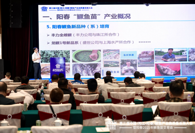 中国水产科学研究院珠江水产研究所主任朱华平分析阳春“鳜鱼苗”产业现状及发展前景。