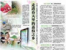 荔乡人说新变化 | 速览《南方日报·高州视窗》第184期