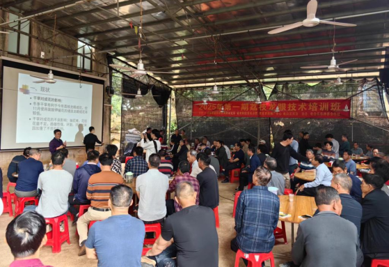省农科院果树所连续第十年在电白卫东家庭农场举办技术培训班。