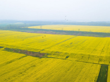 荆楚风味闪耀东莞，湖北展团亮相2025食博会·预博会和农博会