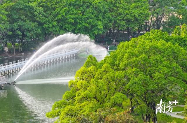 春日的岐江公园，水清岸绿。