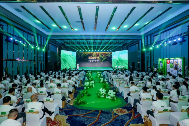 钱大妈携手加盟商，以高效供应链破解生鲜零售难题