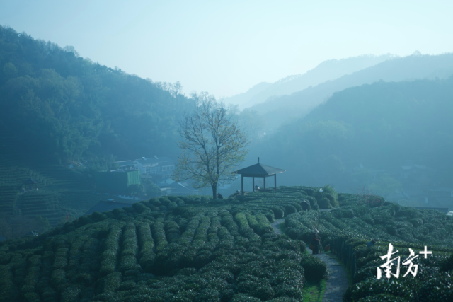 圖源杭州發(fā)布,。