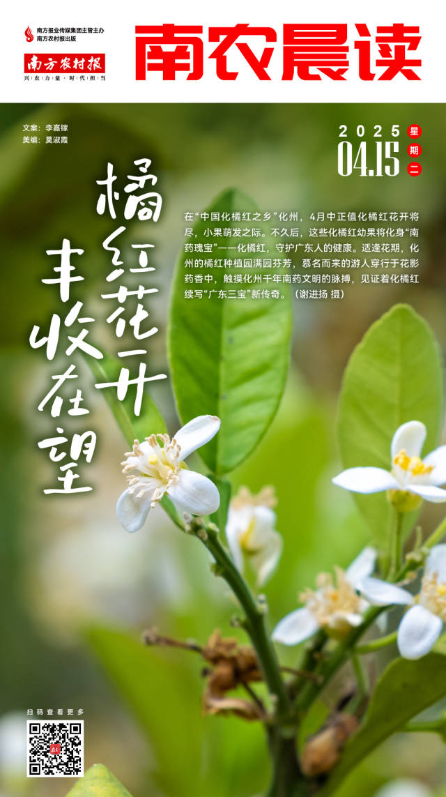 南方农村报 巢芮 制图