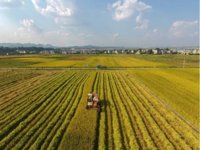 关税重压，中国调味品行业直面市值缩水、原料成本压力与出口受阻三重挑战。