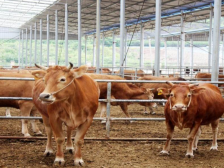 贵州展团强势登场，东莞食博会带你探寻舌尖上的“黔味”