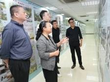 视频｜专家严选！江门邑美乡村民宿设计大赛评审结果出炉