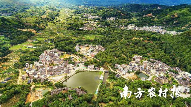 潮州新塘镇新寨村美丽乡村池塘景观。