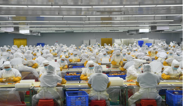 田阳区引进的东部企业为群众提供就业岗位