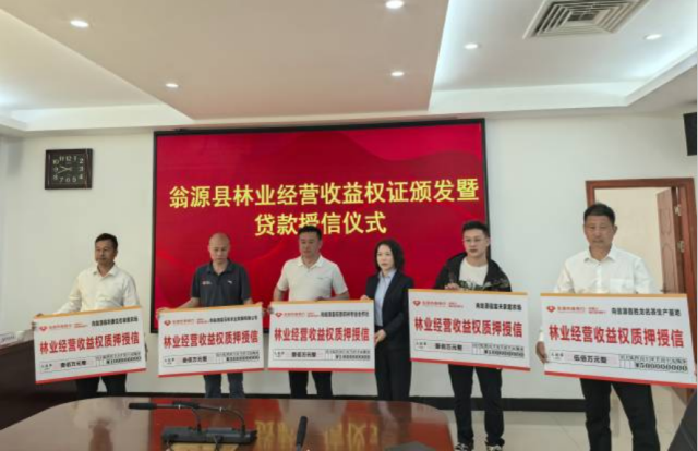 翁源县首批林业经营收益权证颁发暨贷款授信仪式现场  