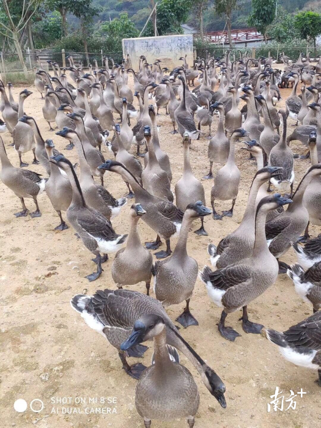 受访者供图