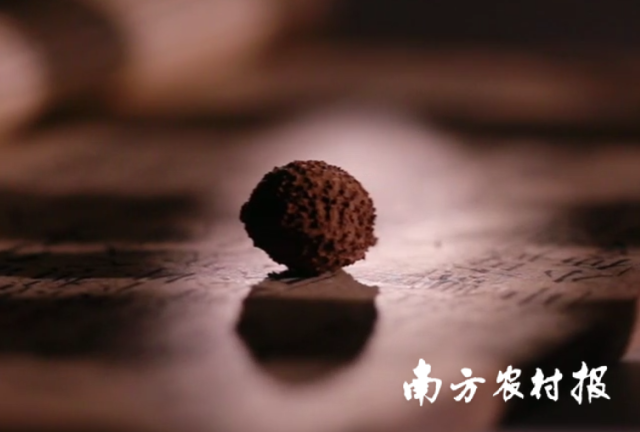 南方農(nóng)村報(bào)“廣東三寶”詮釋道地堅(jiān)守