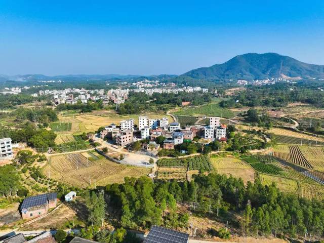 前十五名江门茂名占六席！广东县域经济综合发展力研究报告出炉