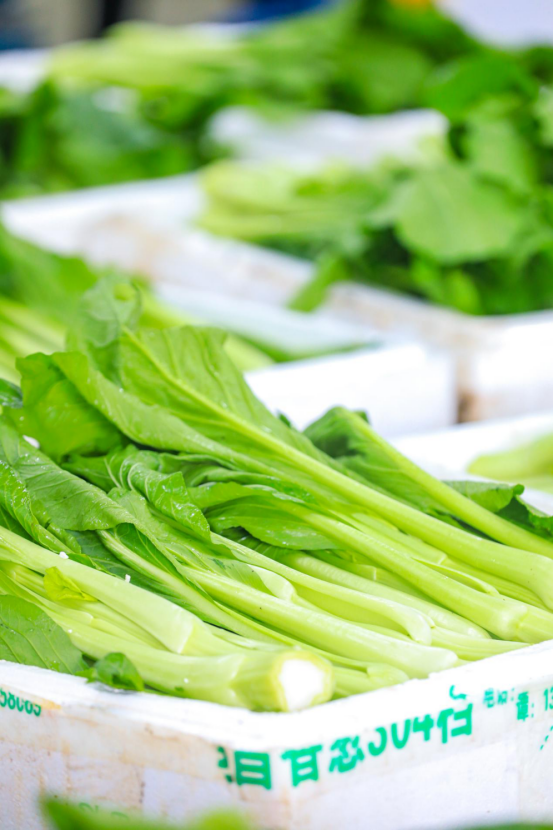 连州菜心