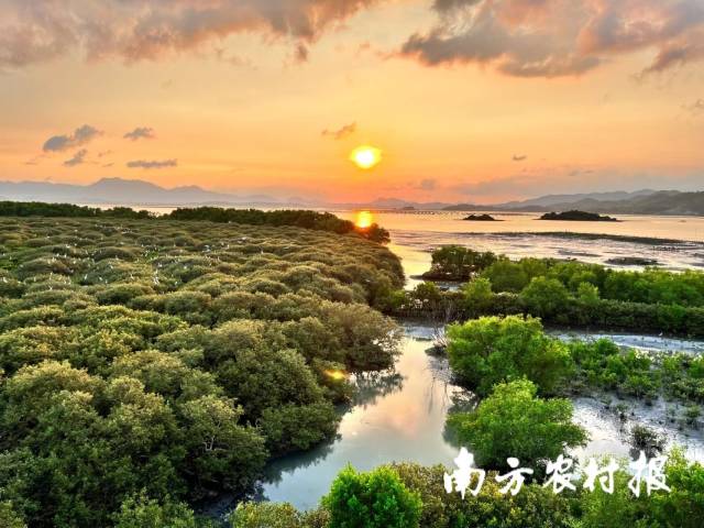 惠州市好招楼湿地公园绿美示范点。