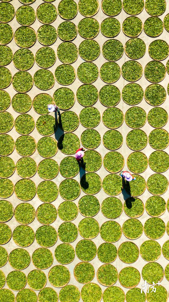 吴秒衡摄。 吴秒衡摄。