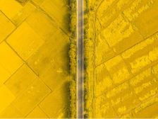 “吉”致风味在这里！吉林展团亮相2025食博会·预博会和农博会