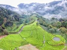 以文明创建赋能高质量发展，梅县区这3个村找到好办法