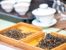 新茶！新品！新场景！乘风破浪的“红茶茶”