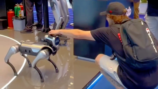 情绪价值拉满！广交会上的“赛博宠物”看呆美国采购商