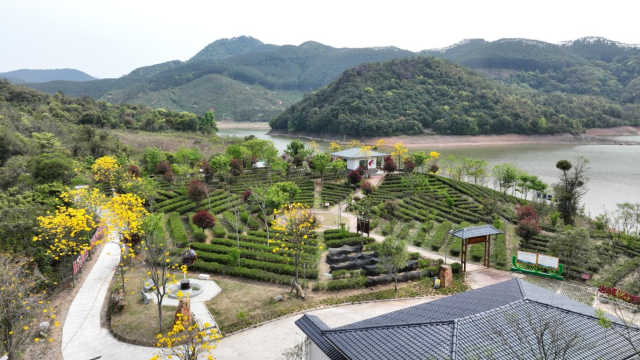 翁源县农康生态家庭农场  