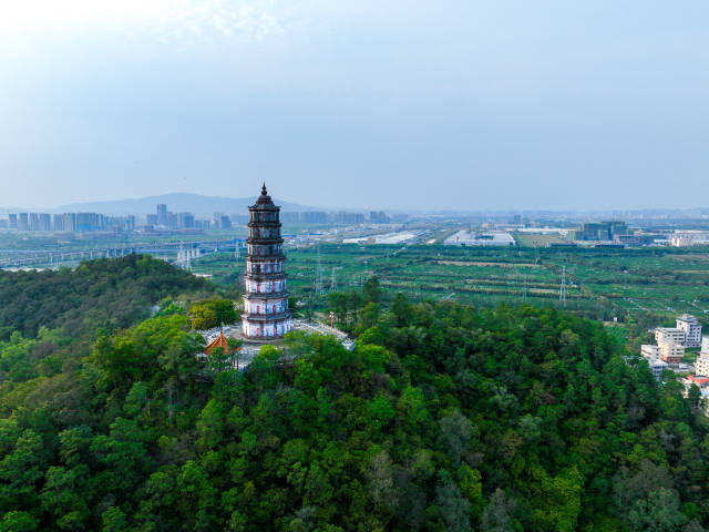 新会熊子塔，正宗新会陈皮的地理标志。