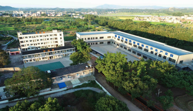 清新区森林药材产业发展奖补项目生产加工区  