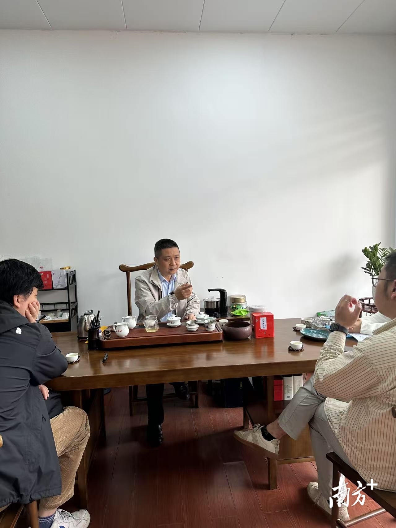 大茶场 