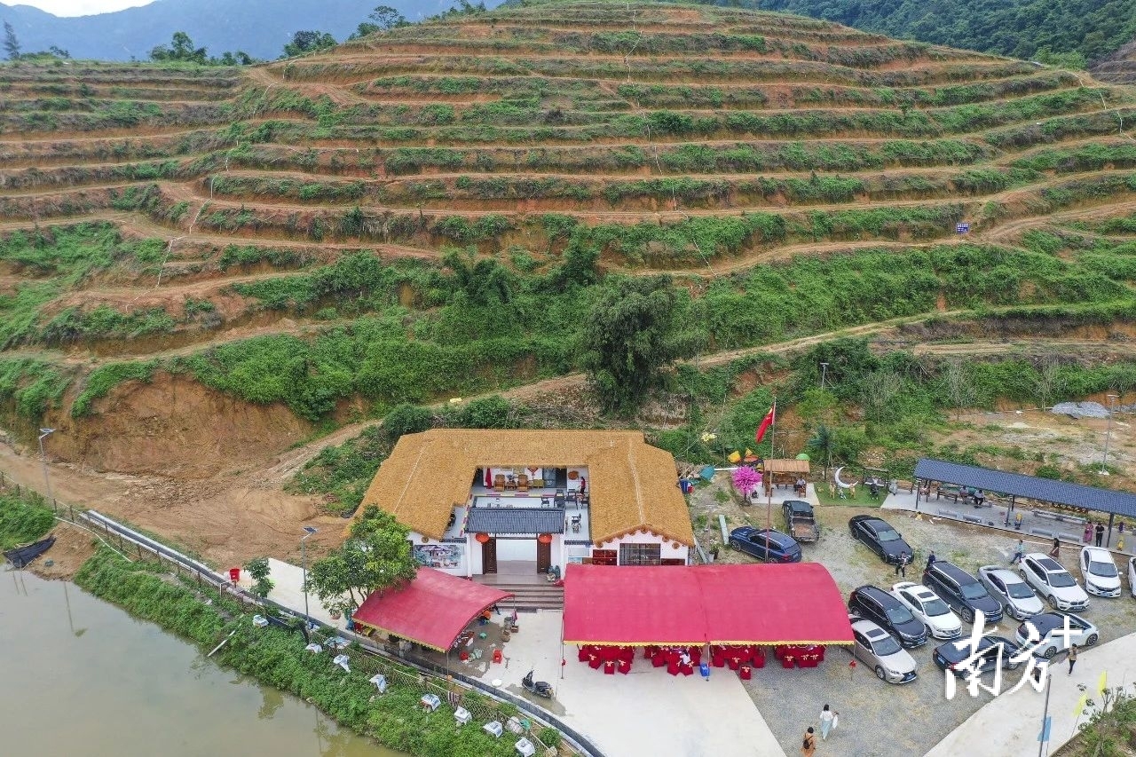 大茶场 阳春八甲：以茶为媒助推文旅融合