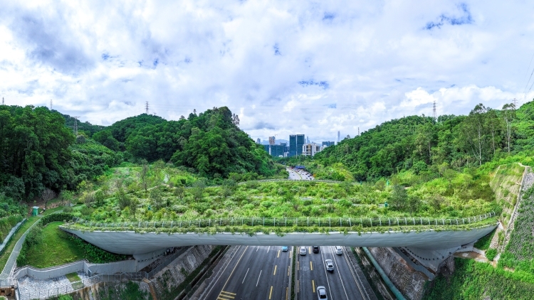 深圳家政32万人从业，如何从无序到有序？