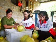 大埔县湖寮镇城北社区：广东省最美志愿服务村（社区）炼成记