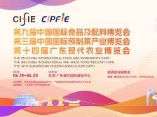 “板腊31”、金枪鱼都来了！南方+带你逛东莞馆