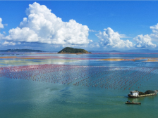 汕味飘香，农韵飞扬！汕头特色农产品将组团亮相十四届农博会